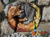 Firefox 041
